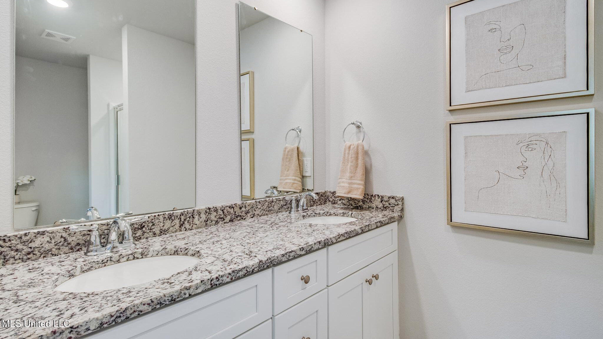 7860 Reagan Court, Ocean Springs, Mississippi image 25