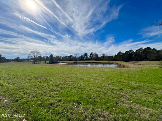 2720 DAVIS RD, BYRAM, MS 39170 - Image a8c42e77eb8b51a5b3fbb3dffbe74f76/1030391884