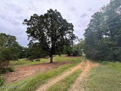 11 Fisher Road, Winona, Mississippi image 8