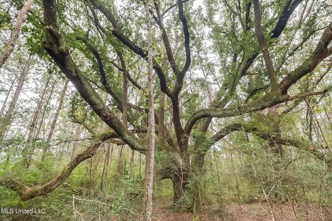 Vacant Land For Sale - 000 Broome School Road<br/> George County, Perkinston, MS 39573