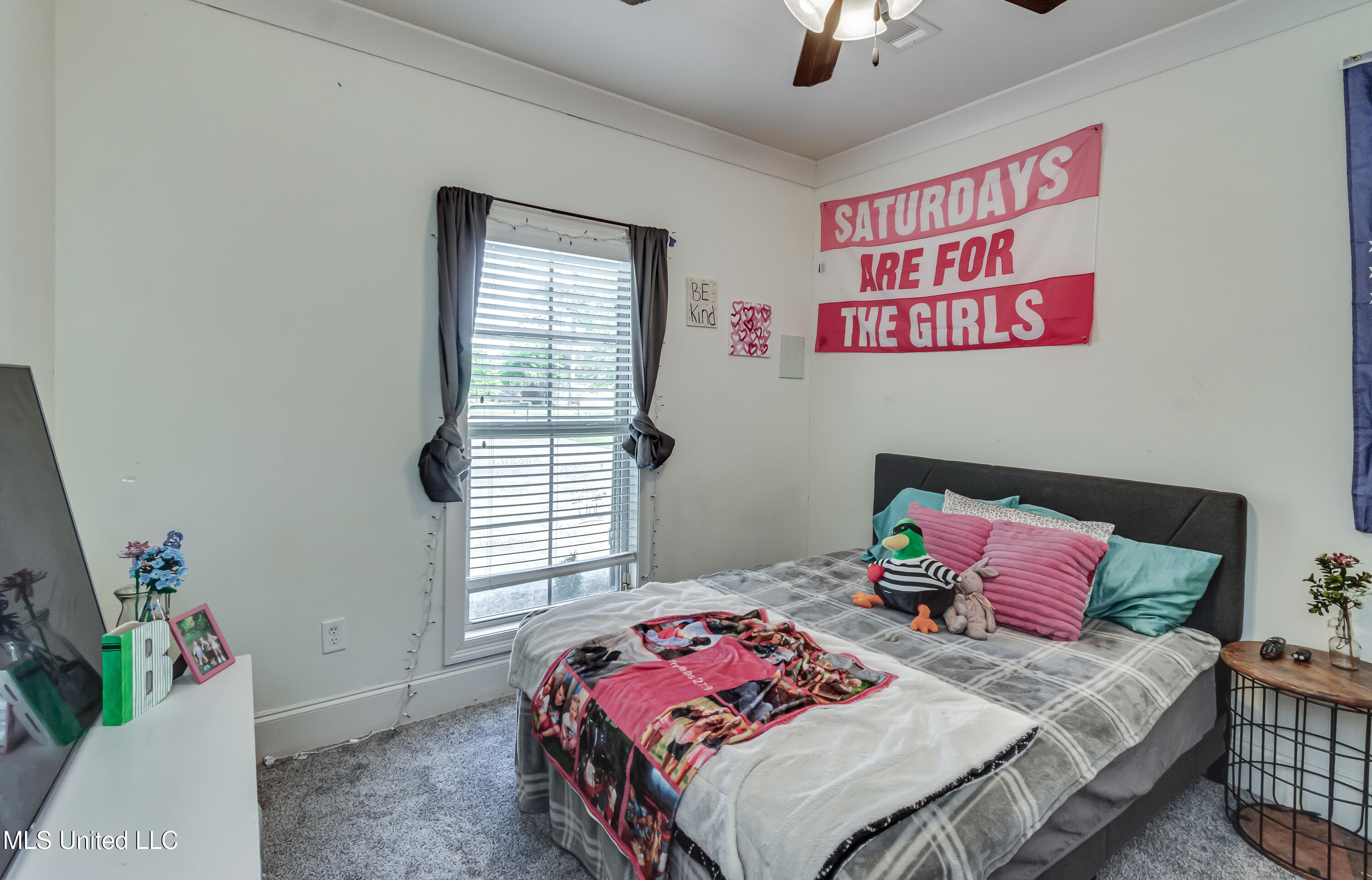 111 Claw Creek Cove, Madison, Mississippi image 45