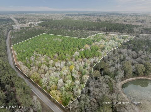 Vacant Land For Sale - Elks Lake Road<br/> Forrest County, Hattiesburg, MS 39401