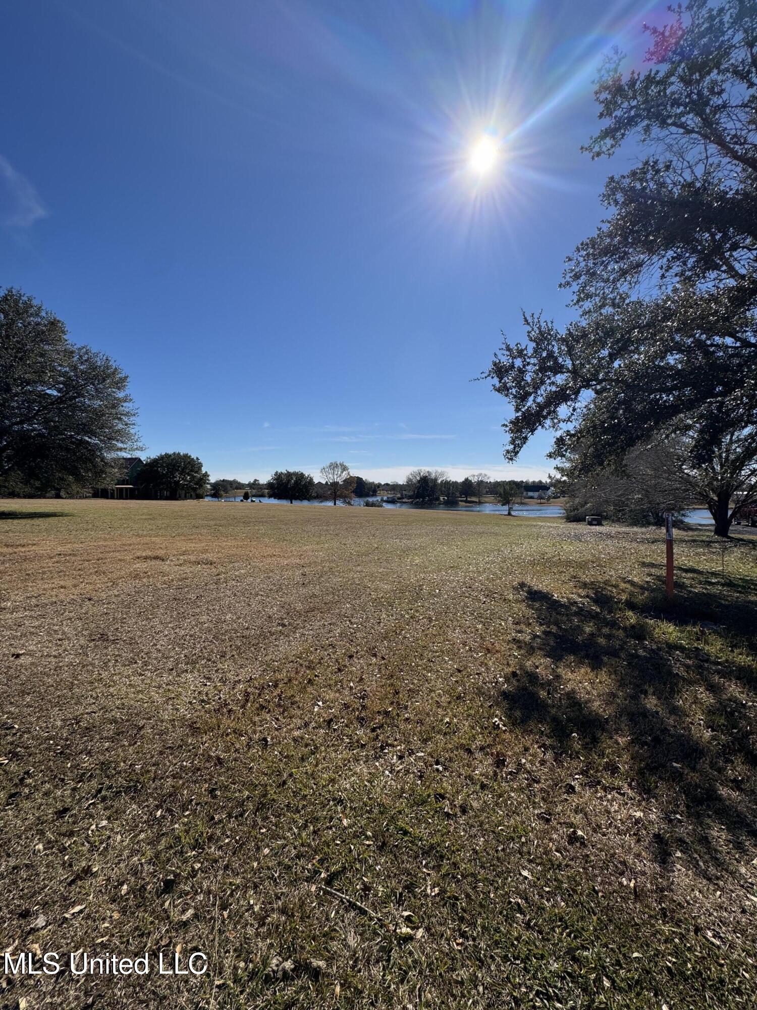 Shavon Drive, Carriere, Mississippi image 5