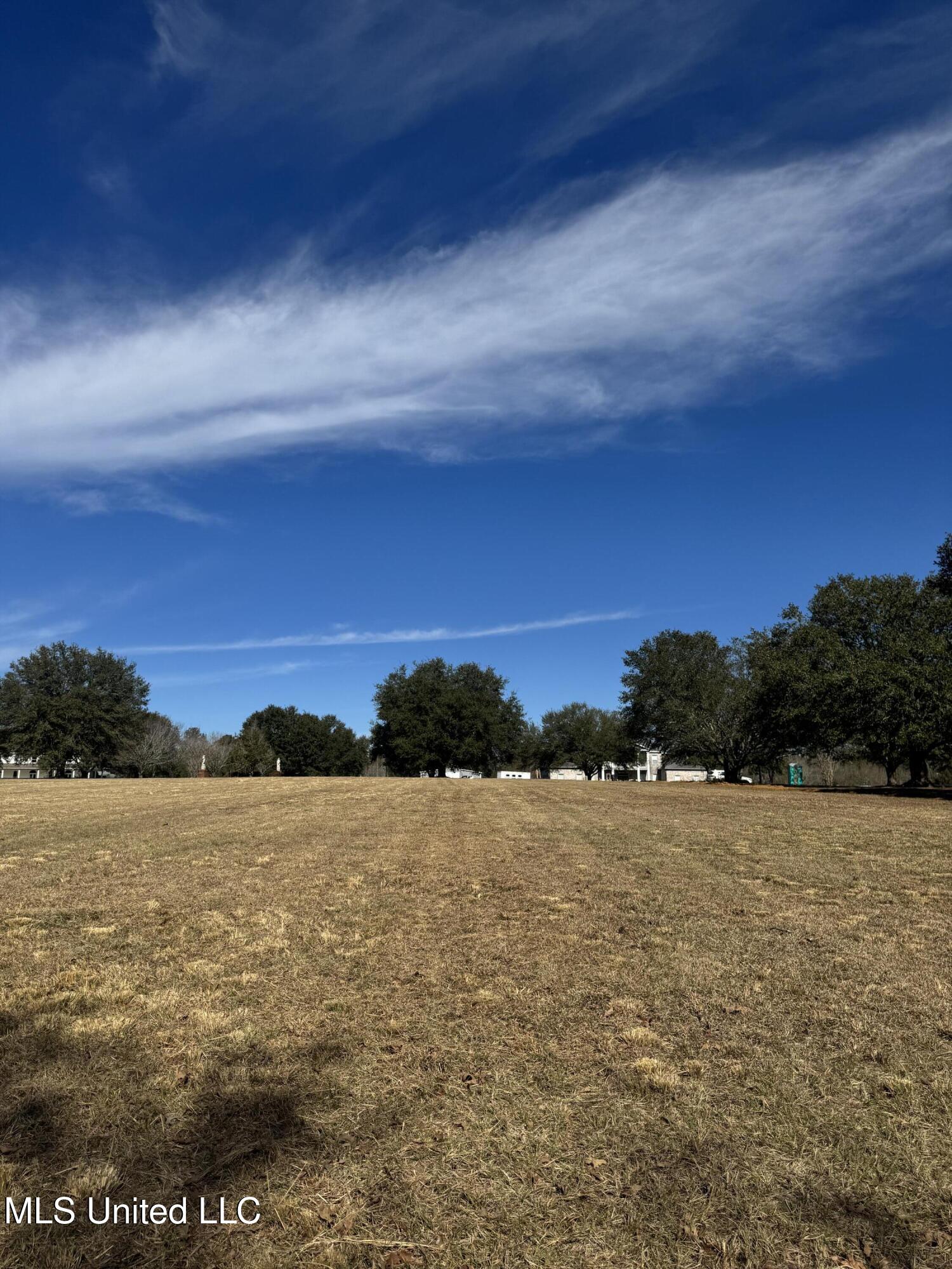 Shavon Drive, Carriere, Mississippi image 8