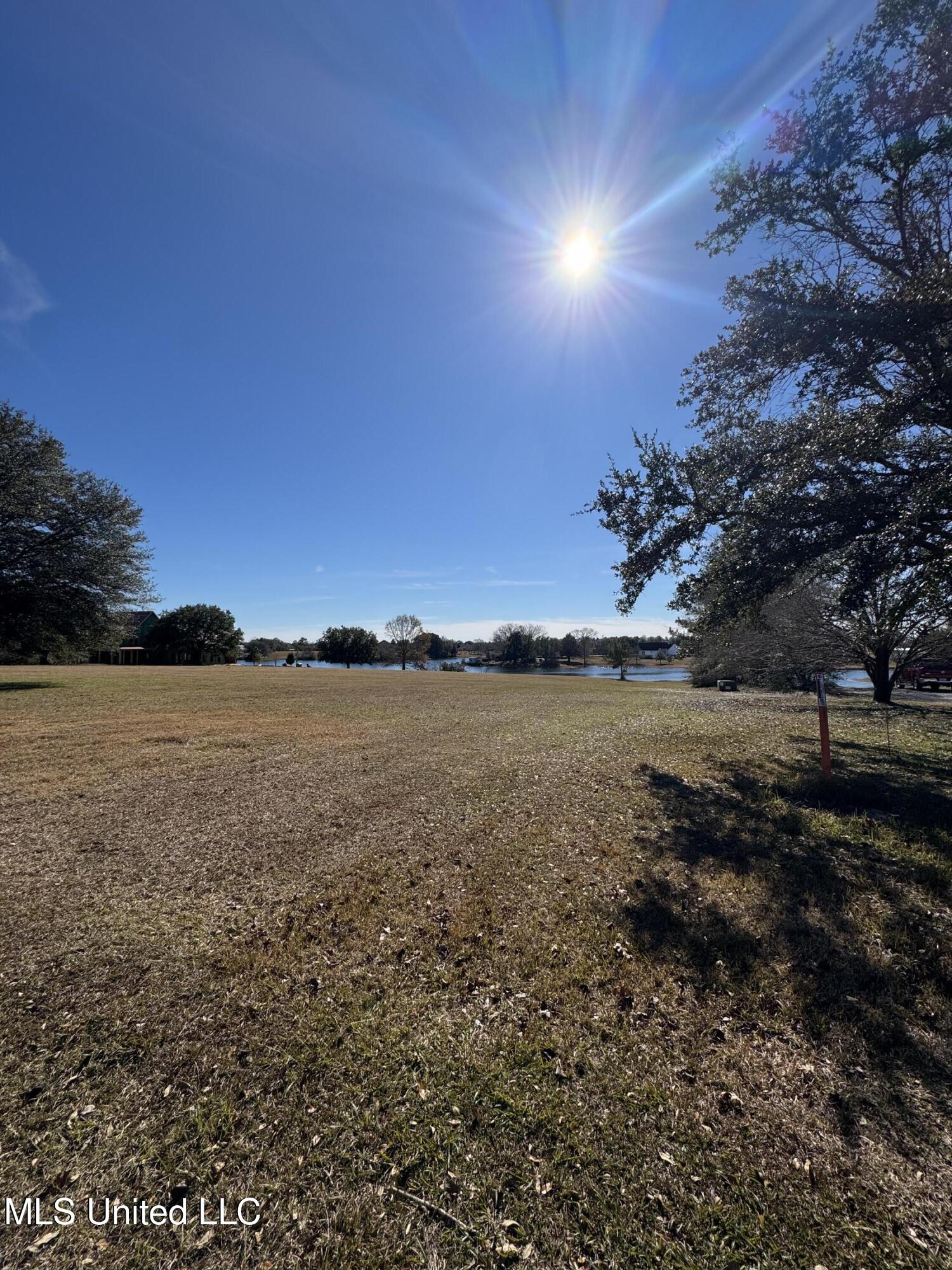 Shavon Drive, Carriere, Mississippi image 4