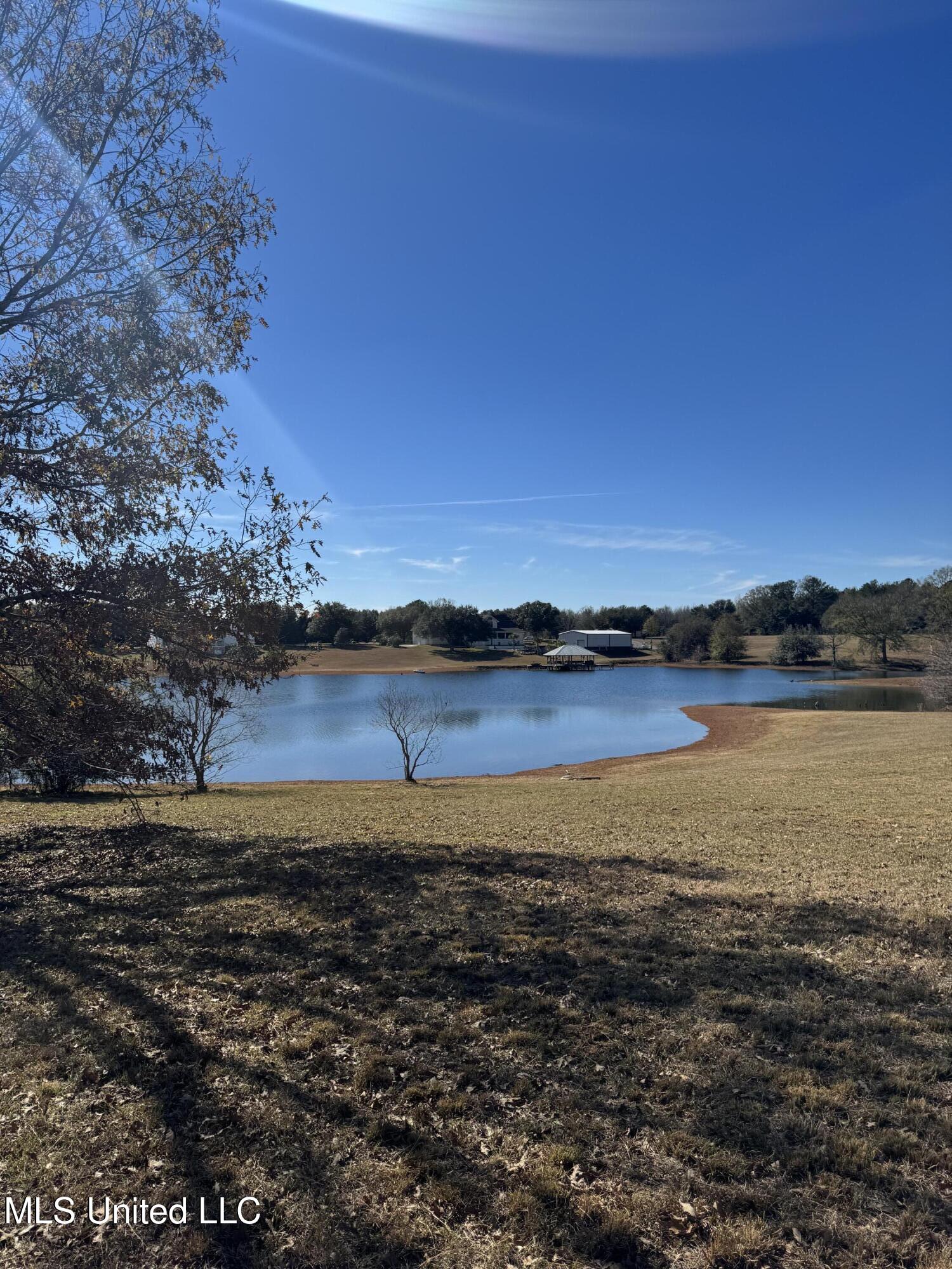 Shavon Drive, Carriere, Mississippi image 3