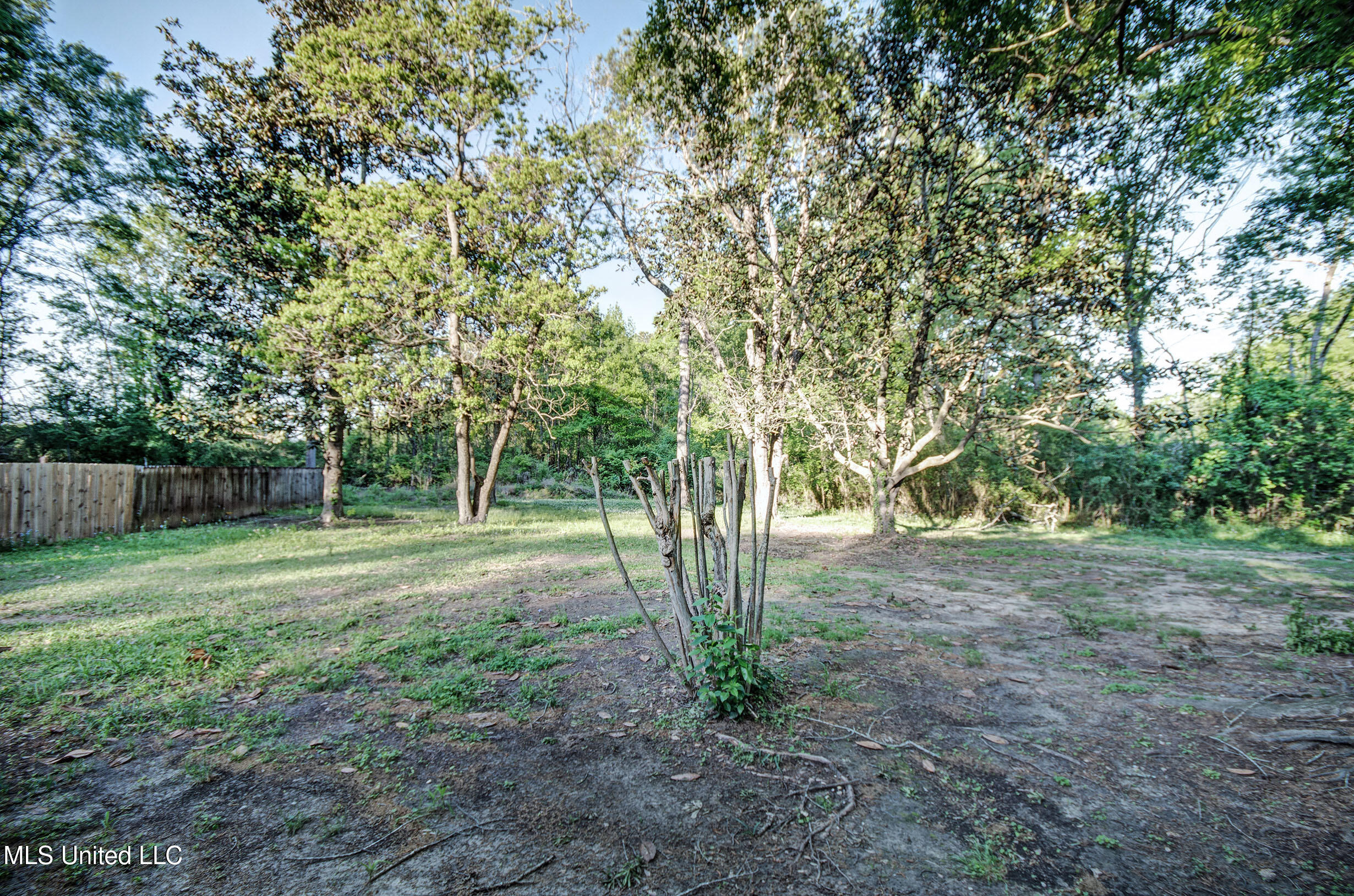 160 Chelsea Court, Jackson, Mississippi image 32