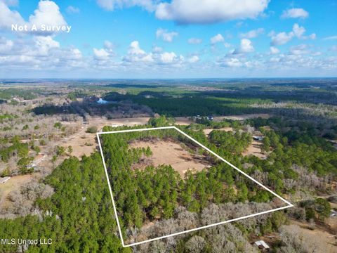 Vacant Land For Sale - 35 Thompson Lane<br/> Carriere, MS 39426