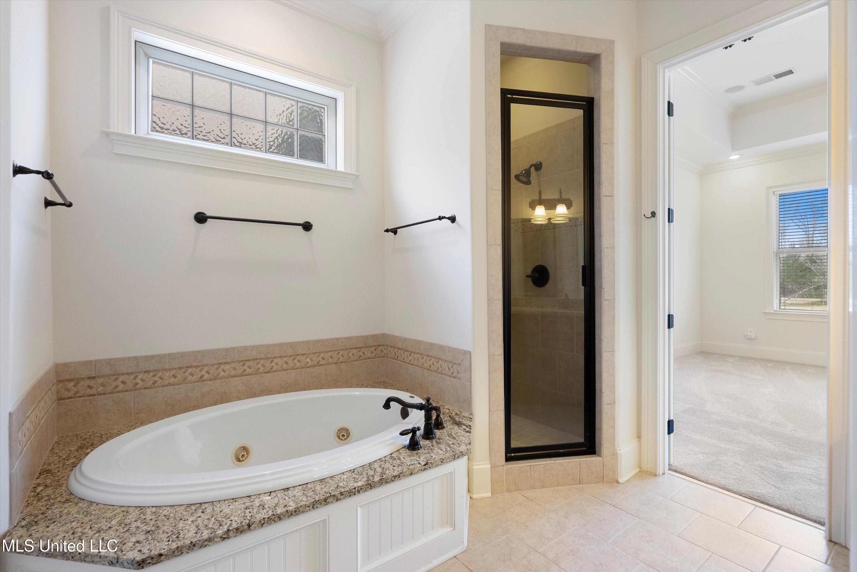 6270 Moondance Cove, Olive Branch, Mississippi image 19