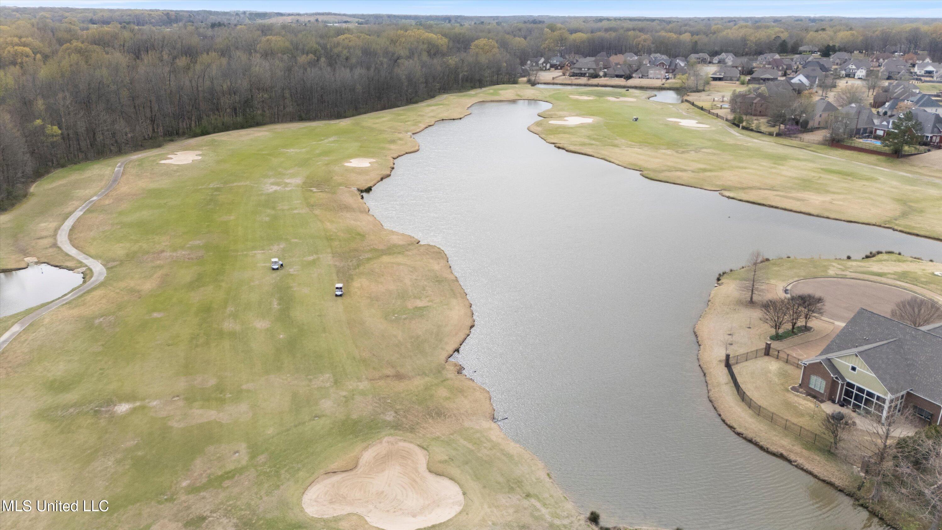 6270 Moondance Cove, Olive Branch, Mississippi image 40
