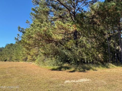 Vacant Land For Sale - 6.25AC Knob Town Rd<br/> State Line, MS 39362