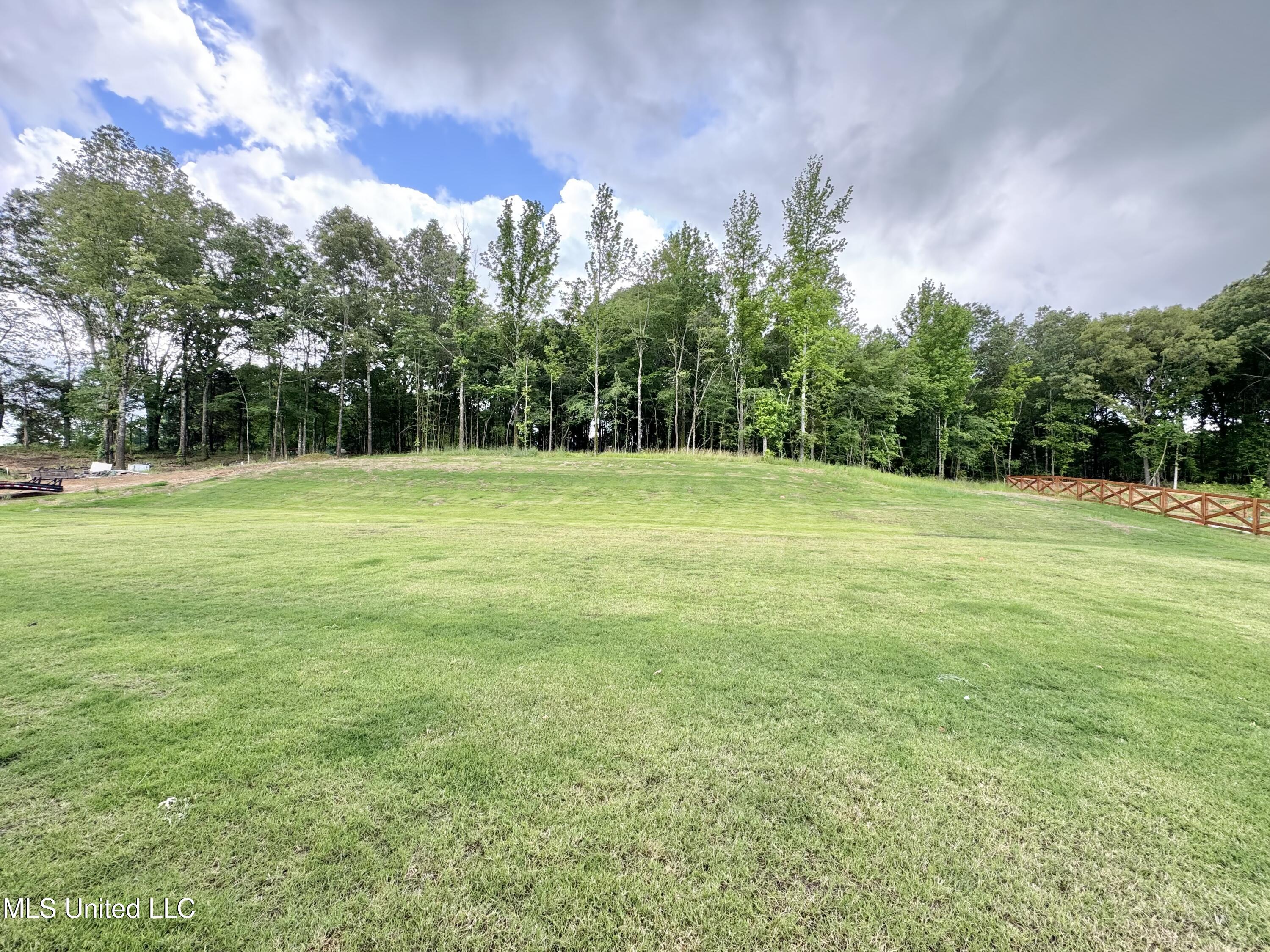 4289 Hwy 305 S, Hernando, Mississippi image 38