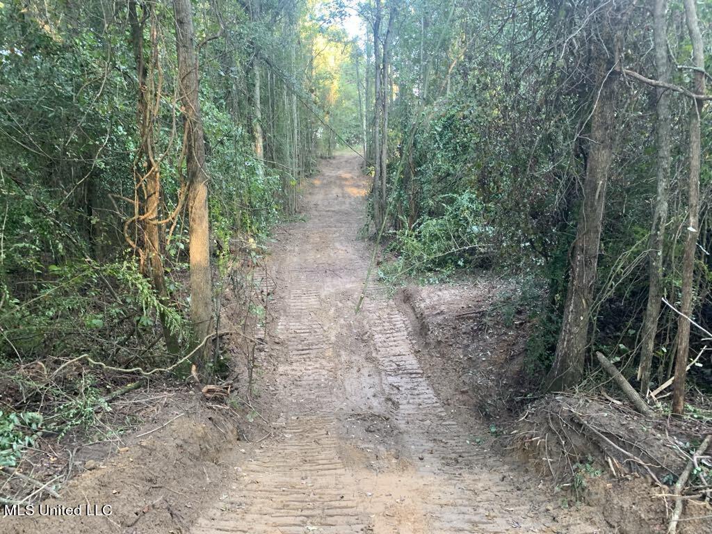 Dry Creek Rd, Mendenhall, Mississippi image 6