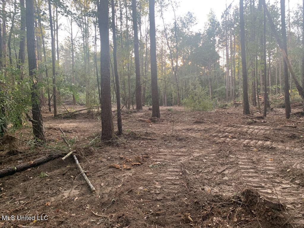 Dry Creek Rd, Mendenhall, Mississippi image 1