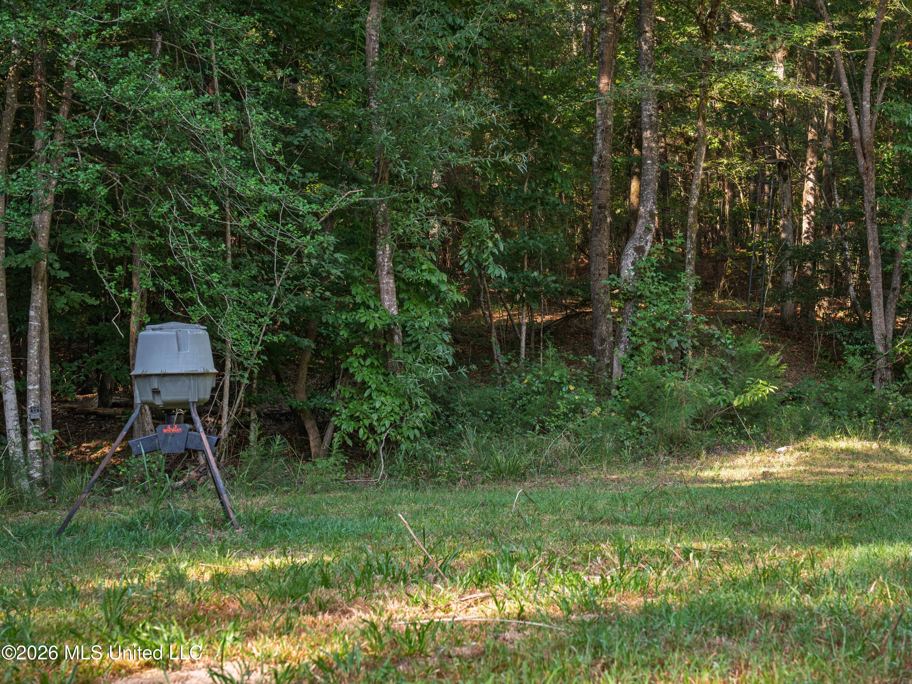 Attala Road 3053