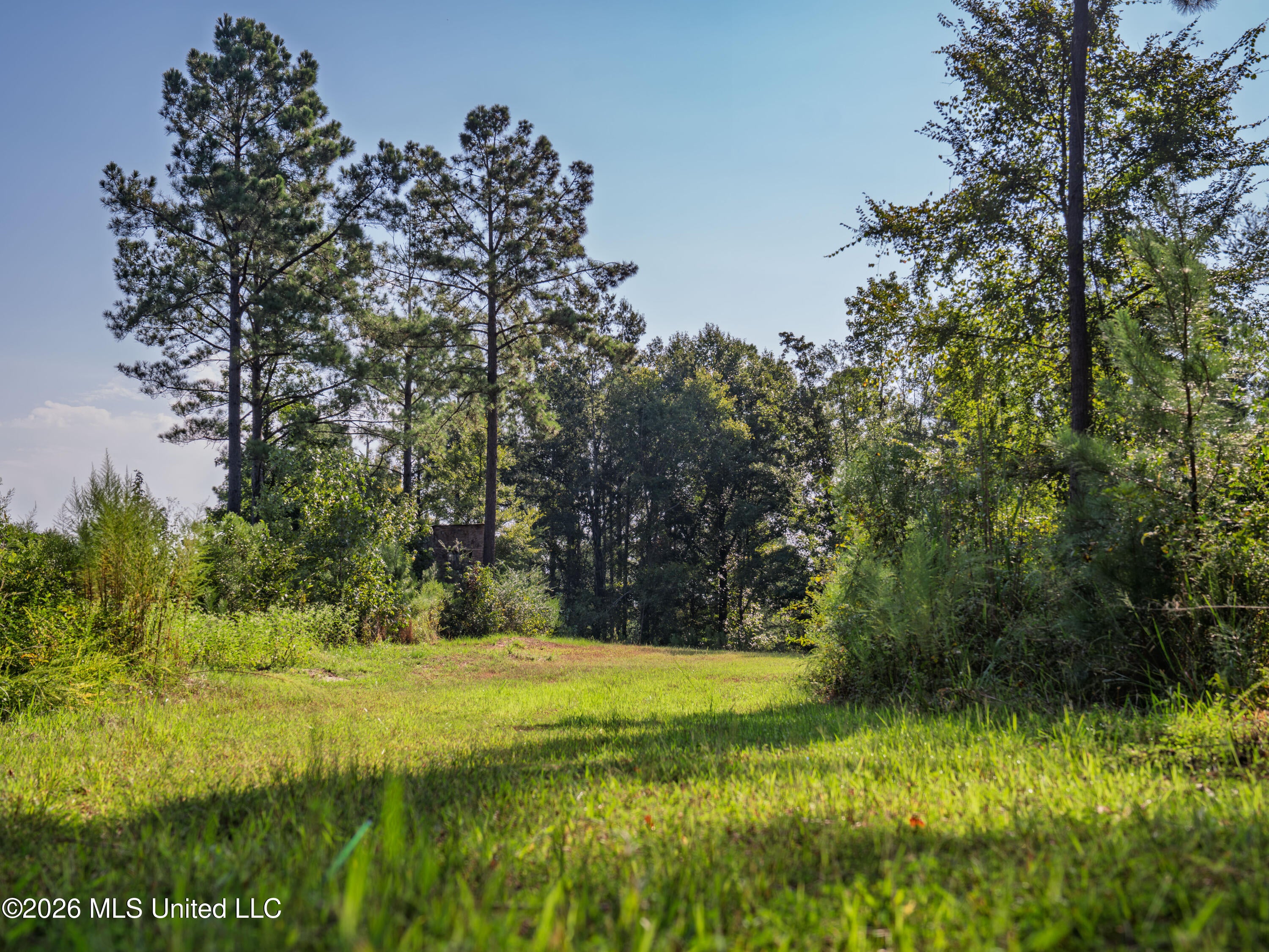 Attala Road 3053