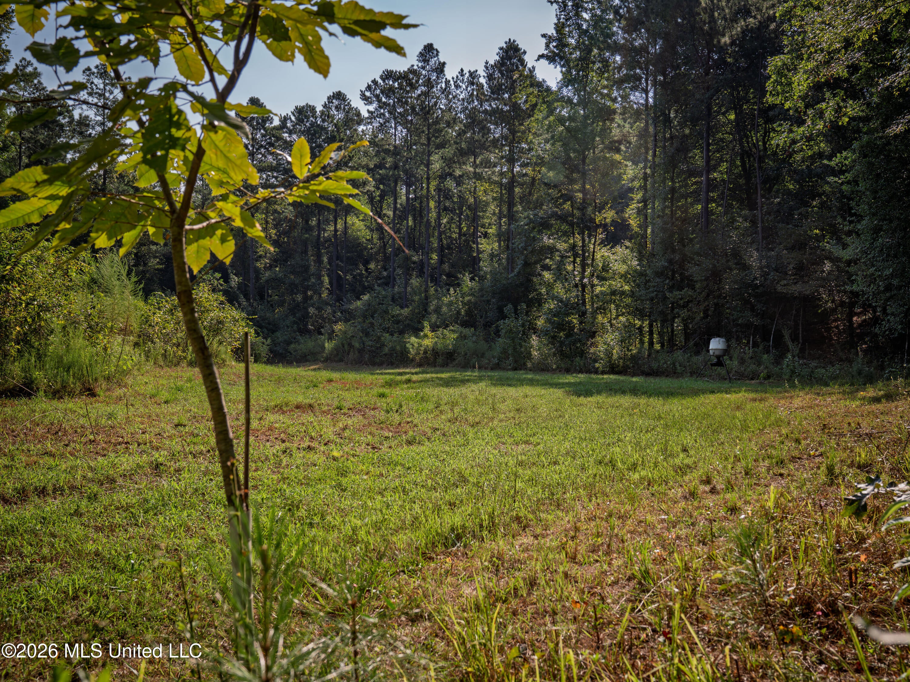 Attala Road 3053