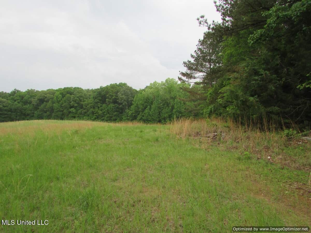 Westbrook Road / Waldrup Road, Vaughan, Mississippi image 3