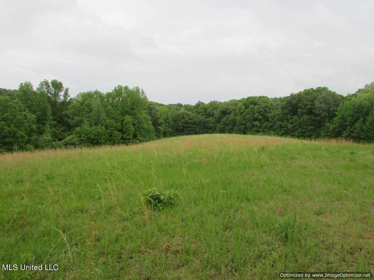 Westbrook Road / Waldrup Road, Vaughan, Mississippi image 4