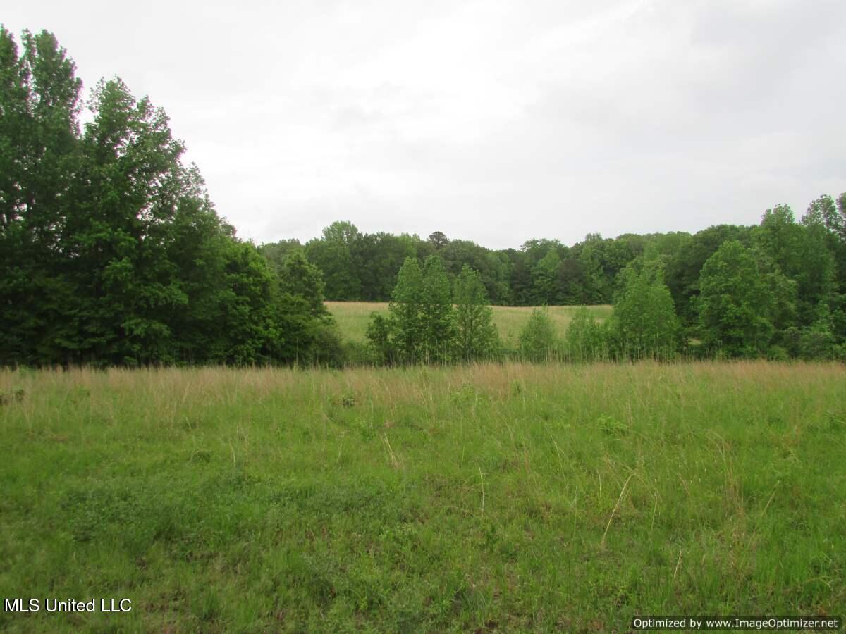 Westbrook Road / Waldrup Road, Vaughan, Mississippi image 1