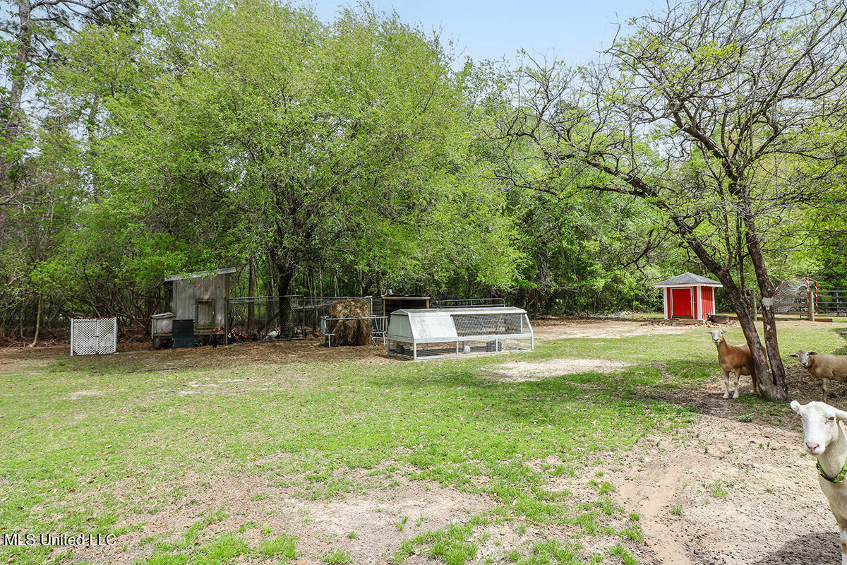 19071 Goff Farm Road, Moss Point, Mississippi image 43