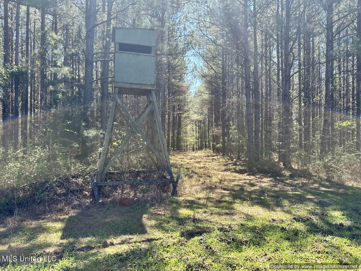 0000 Crossroads Road, Decatur, Mississippi image 6