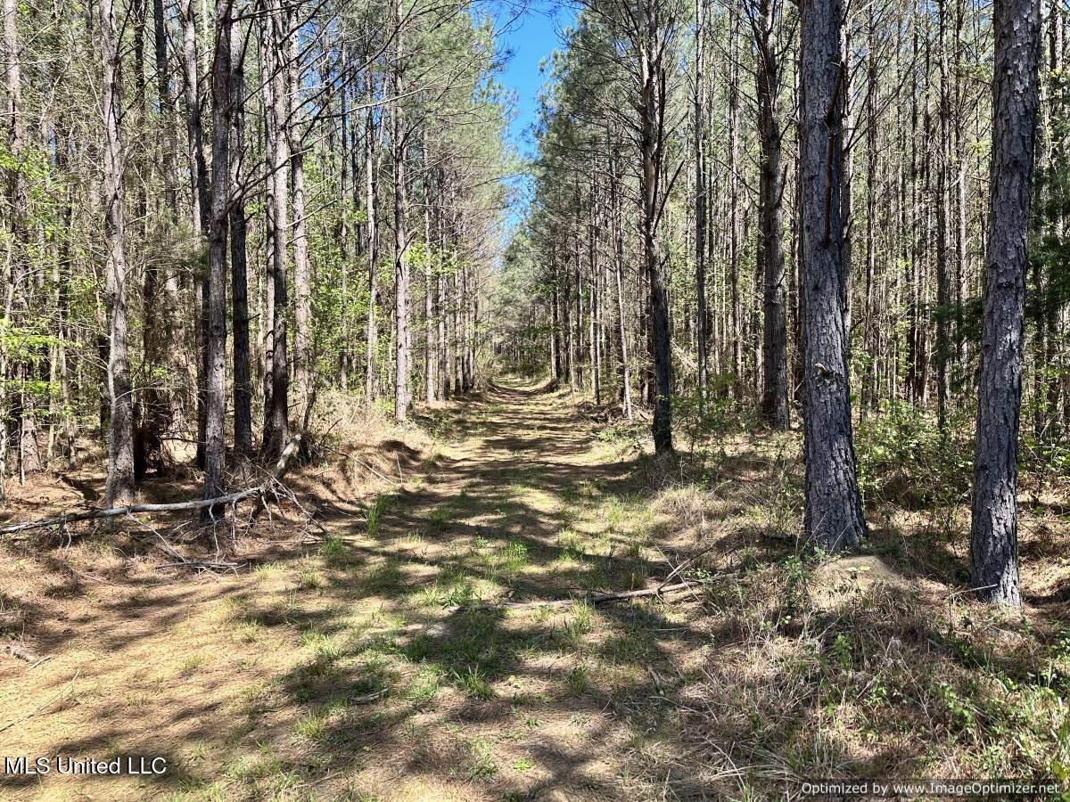 0000 Crossroads Road, Decatur, Mississippi image 15