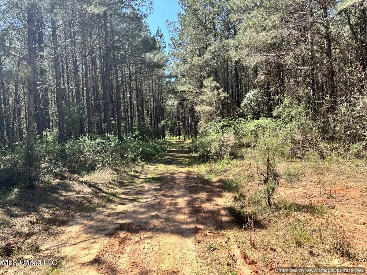 0000 Crossroads Road, Decatur, Mississippi image 11