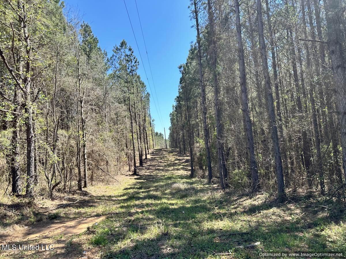 0000 Crossroads Road, Decatur, Mississippi image 9