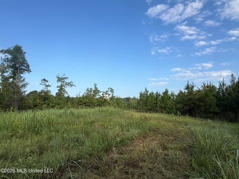 Vacant Land For Sale - Co Rd 4102<br/> Sallis, MS 39160