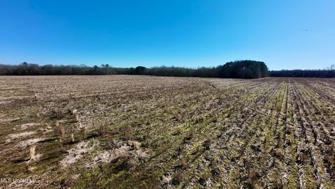 Vacant Land For Sale - 01 E Main Street<br/> Leake County, Carthage, MS 39051