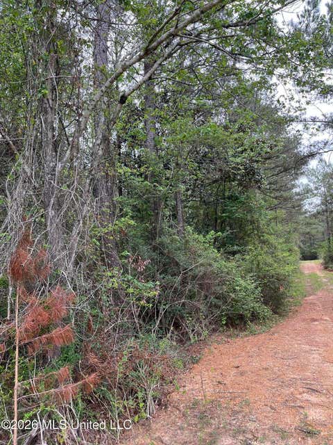 Vacant Land For Sale - Hwy 49<br/> Forrest County, Brooklyn, MS 39425