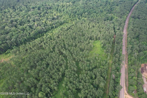 Vacant Land For Sale - Highway 48<br/> Gloster, MS 39638