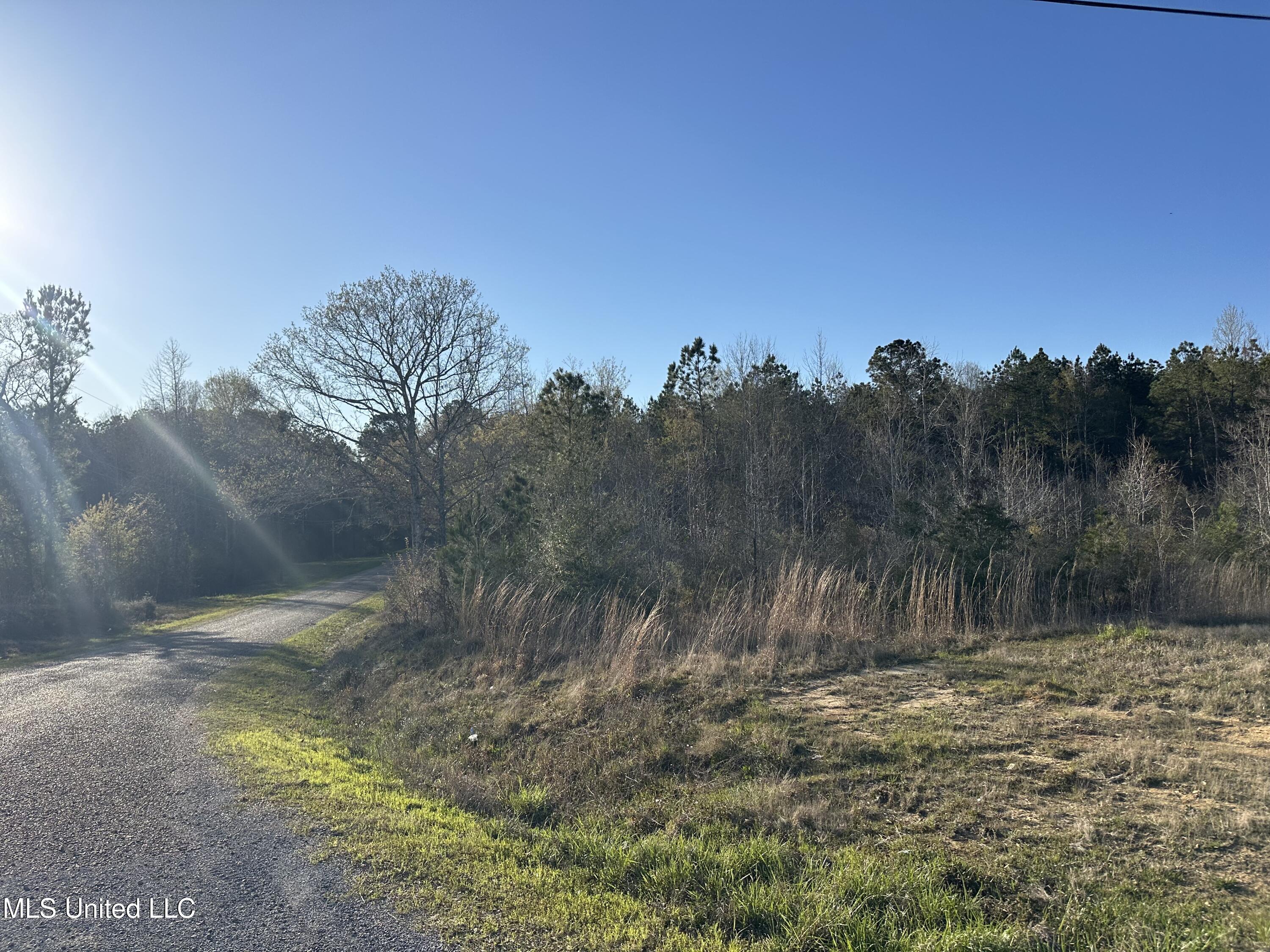 SE Vail Ln Lane, Ruth, Mississippi image 7