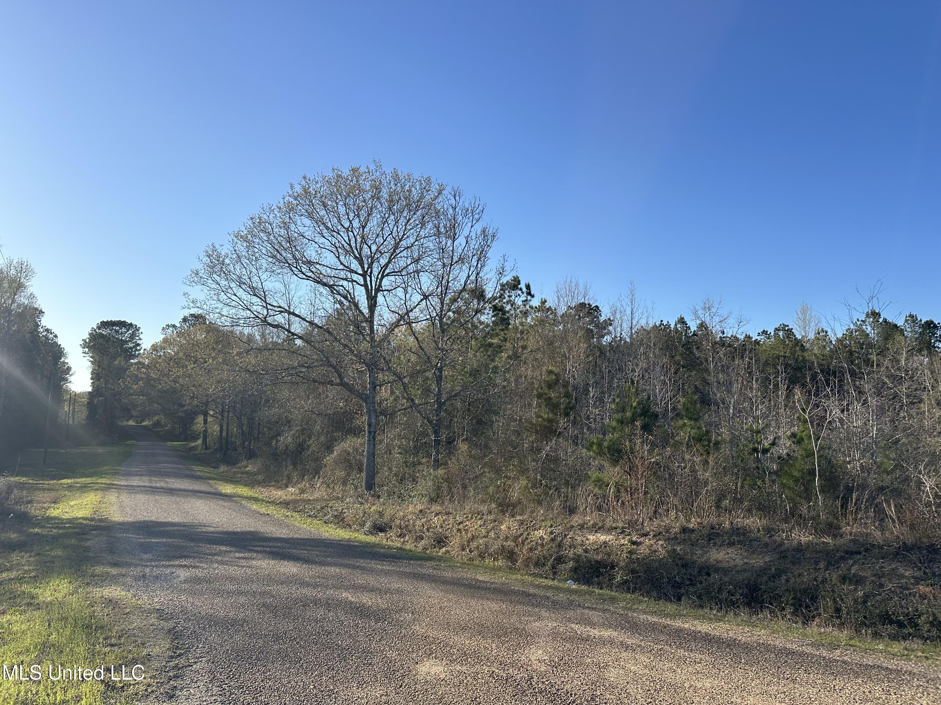 SE Vail Ln Lane, Ruth, Mississippi image 9