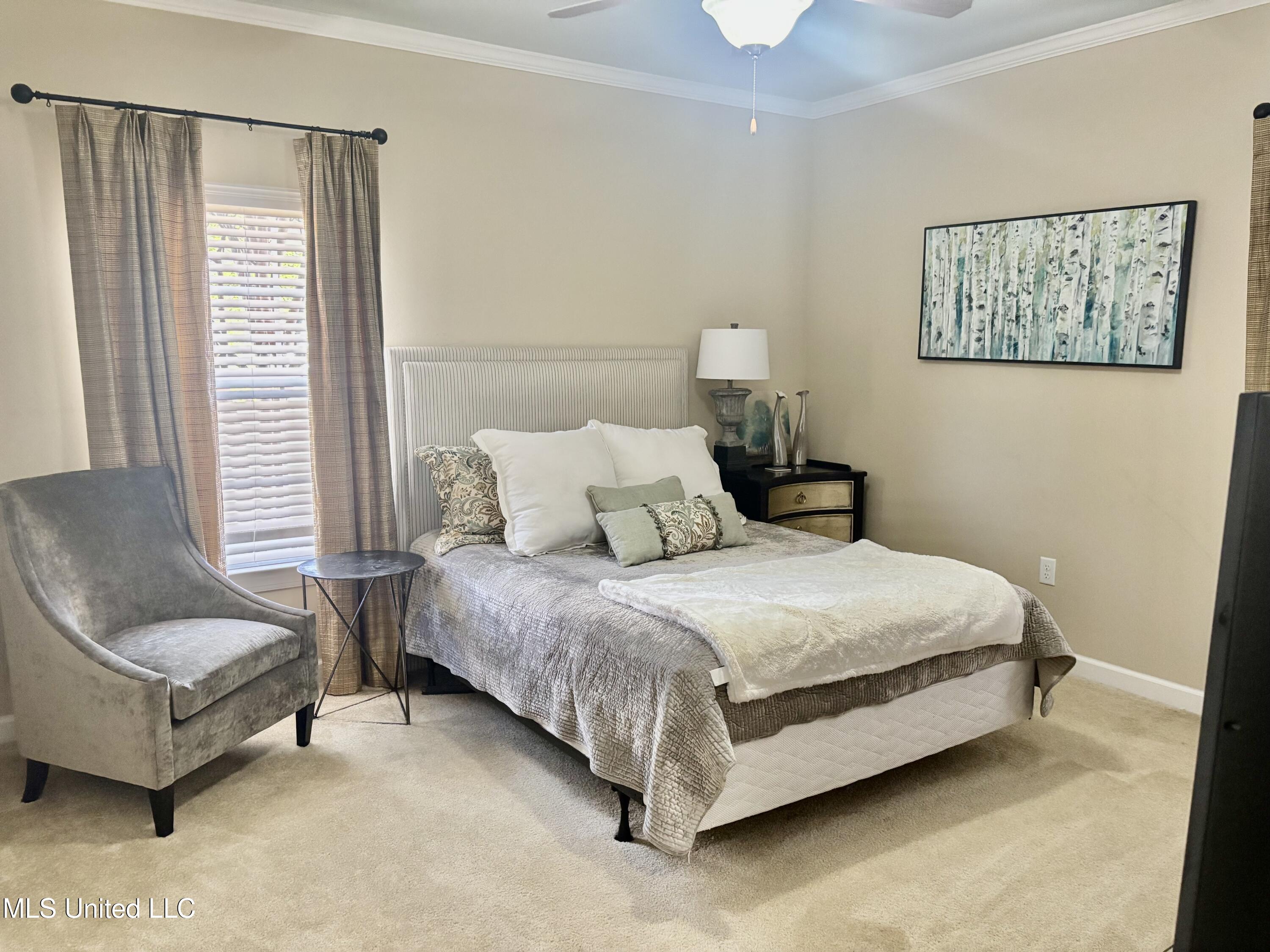 50 Private Rd 3057 #6, Oxford, Mississippi image 8