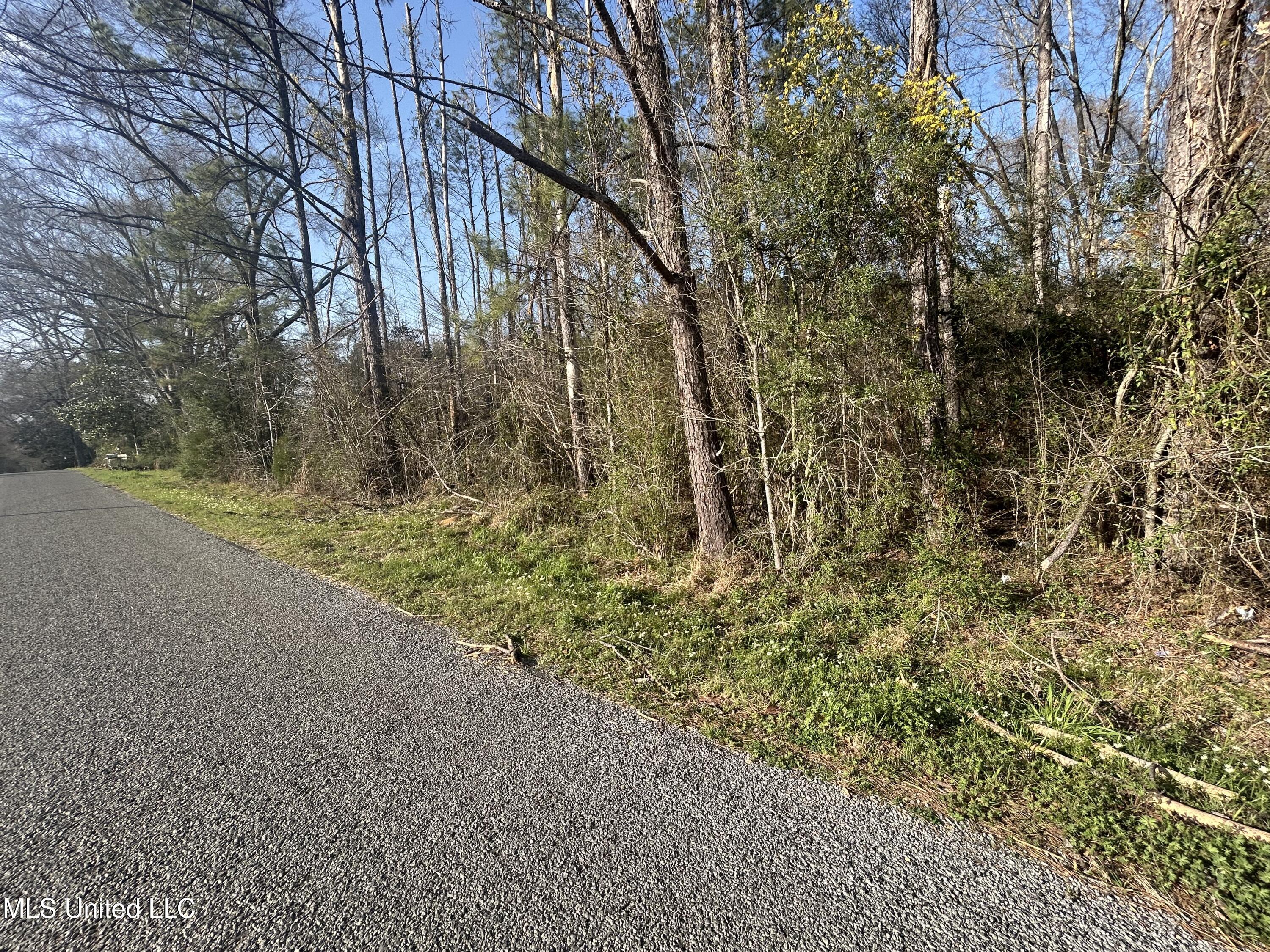000 Barnett Road, Summit, Mississippi image 3