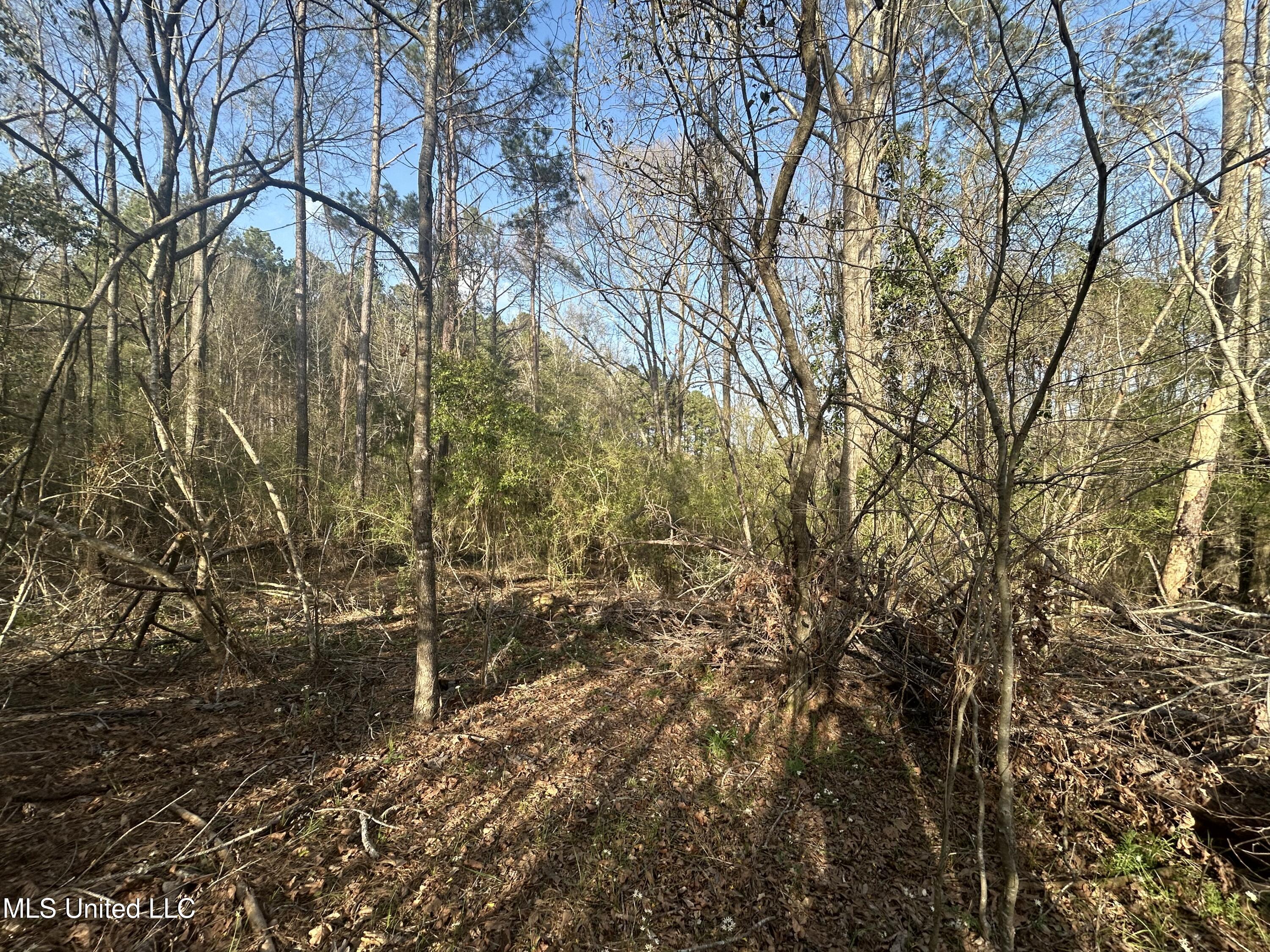 000 Barnett Road, Summit, Mississippi image 4