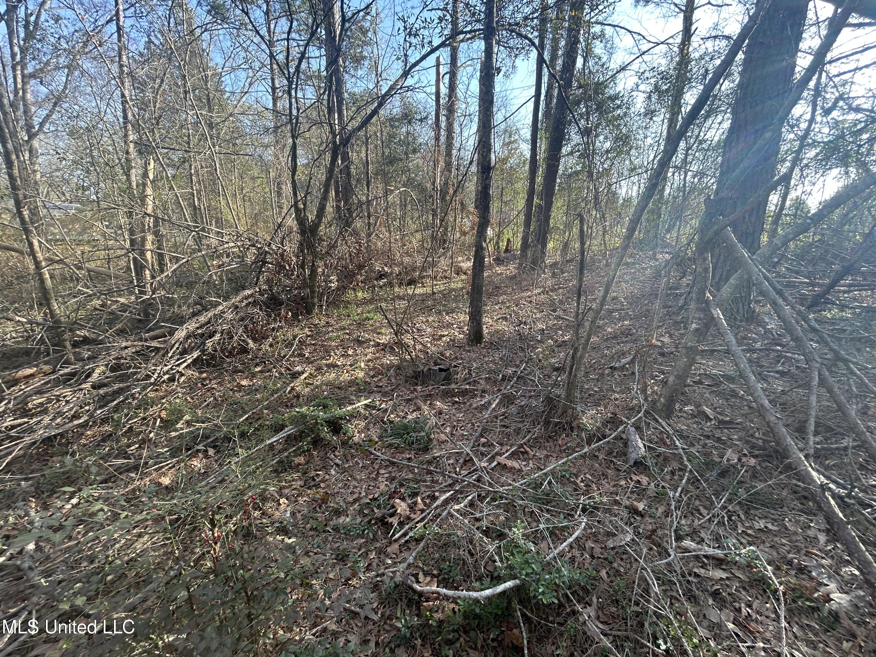 000 Barnett Road, Summit, Mississippi image 2