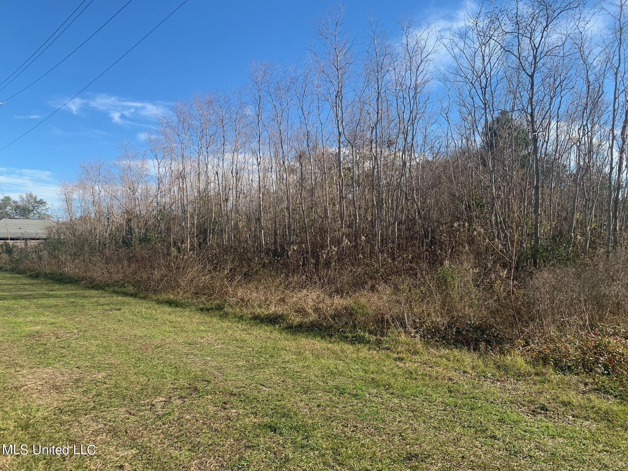 Mcdonnel Avenue, Biloxi, Mississippi image 1