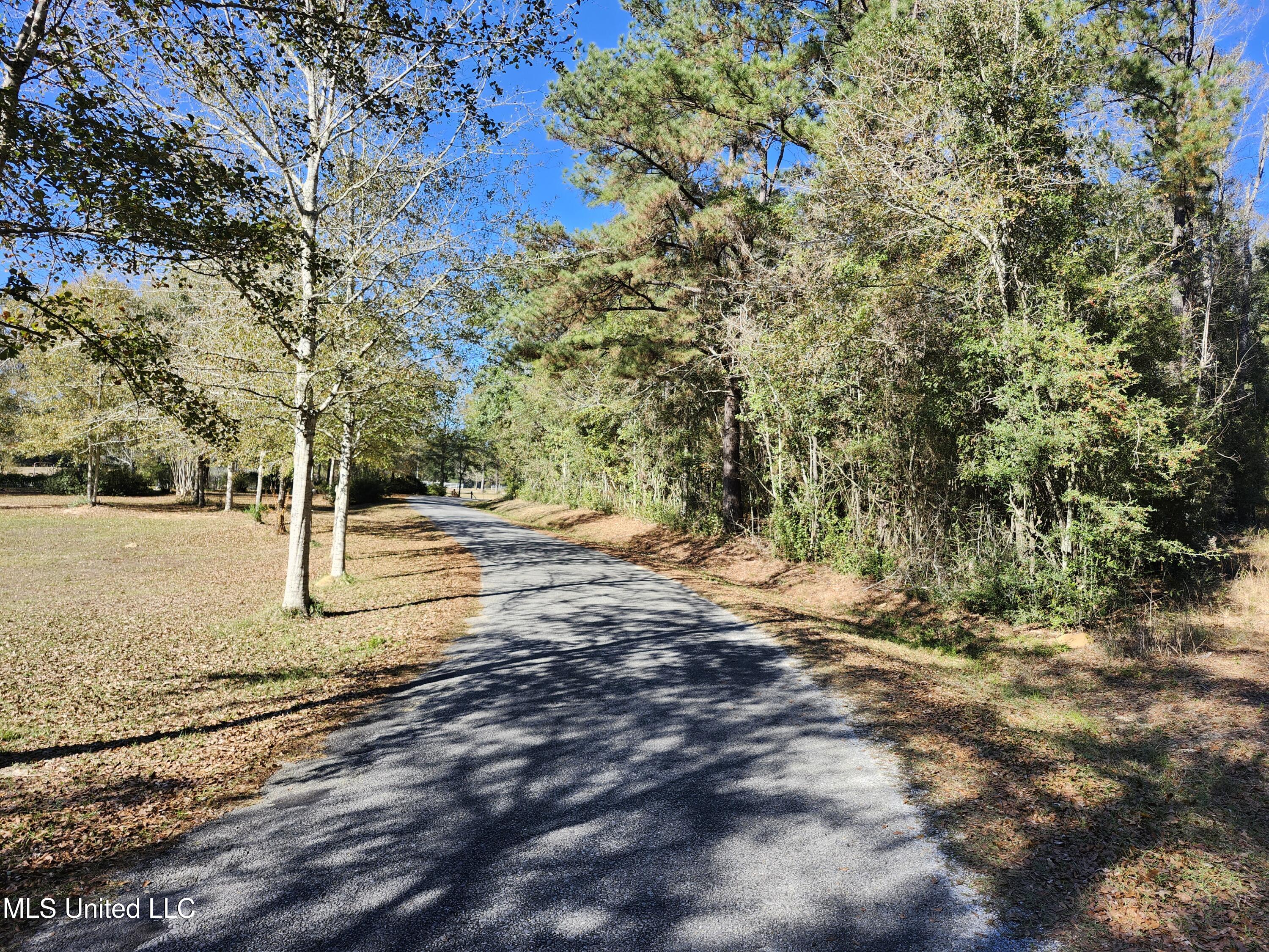 Hoda Road, Kiln, Mississippi image 2