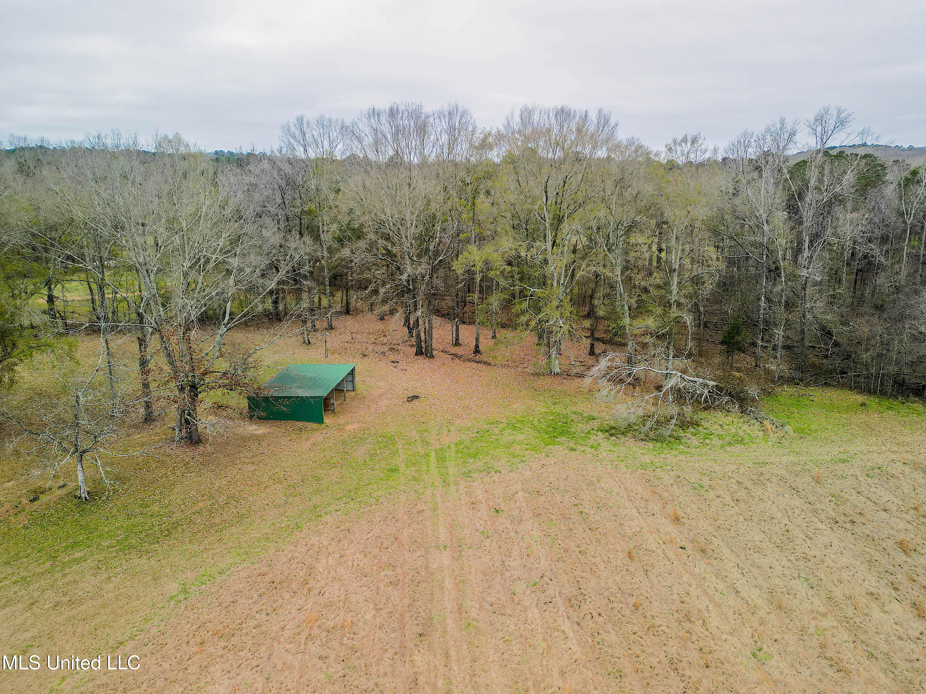 Tbd Highland Hills Lane Lane, Flora, Mississippi image 11