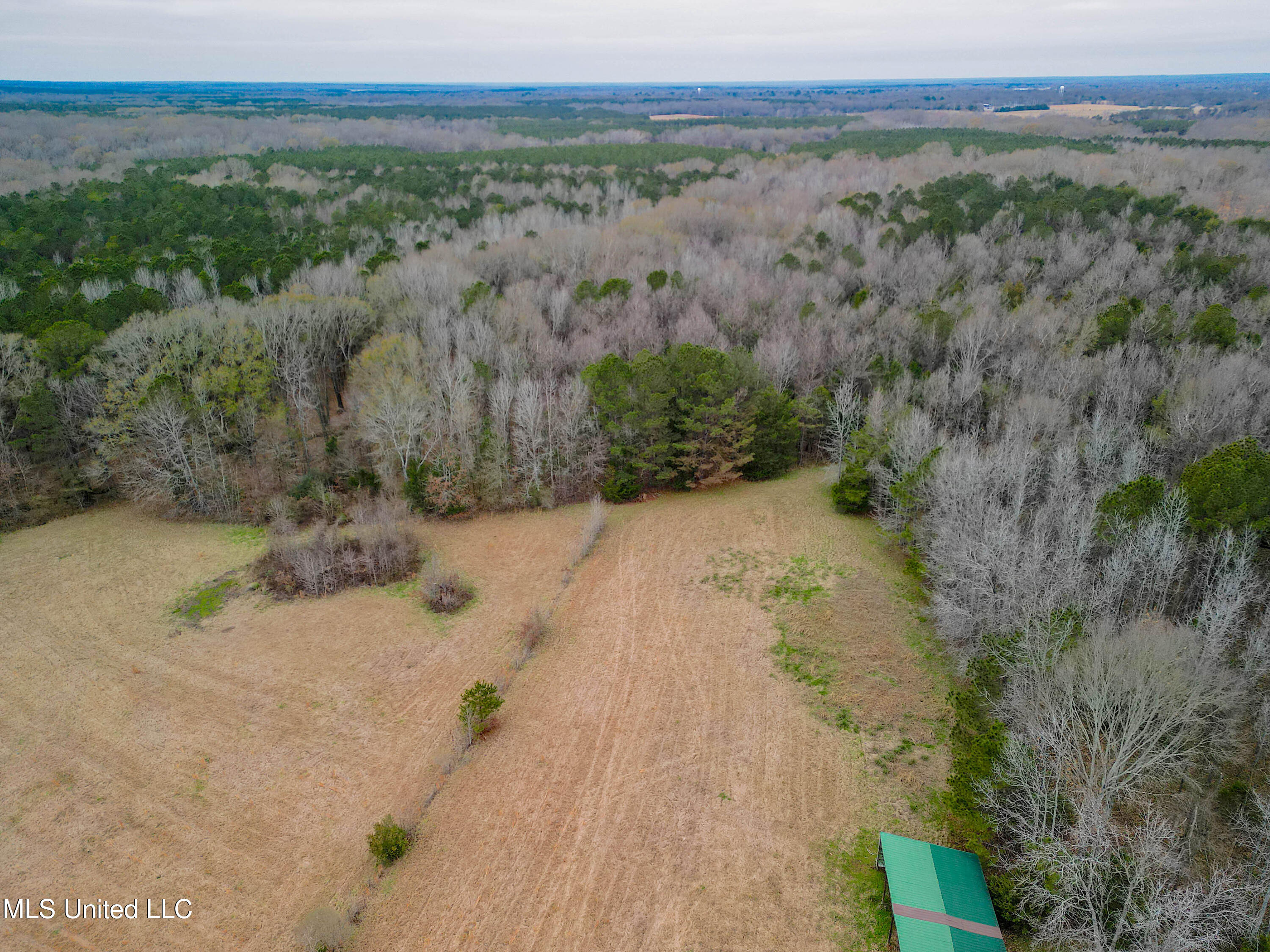 Tbd Highland Hills Lane Lane, Flora, Mississippi image 8