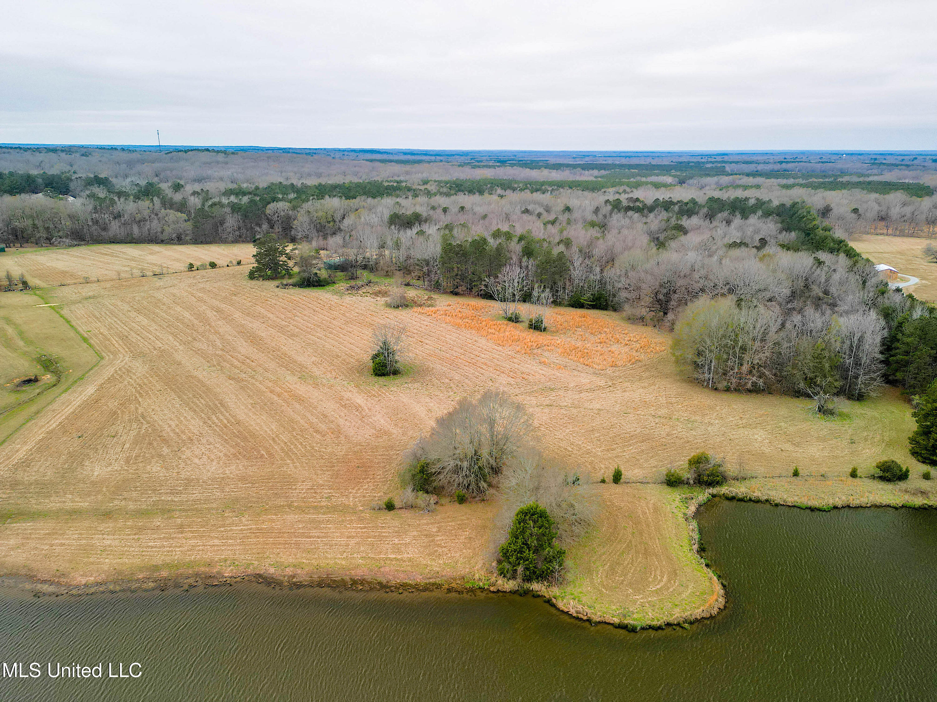 Tbd Highland Hills Lane Lane, Flora, Mississippi image 6