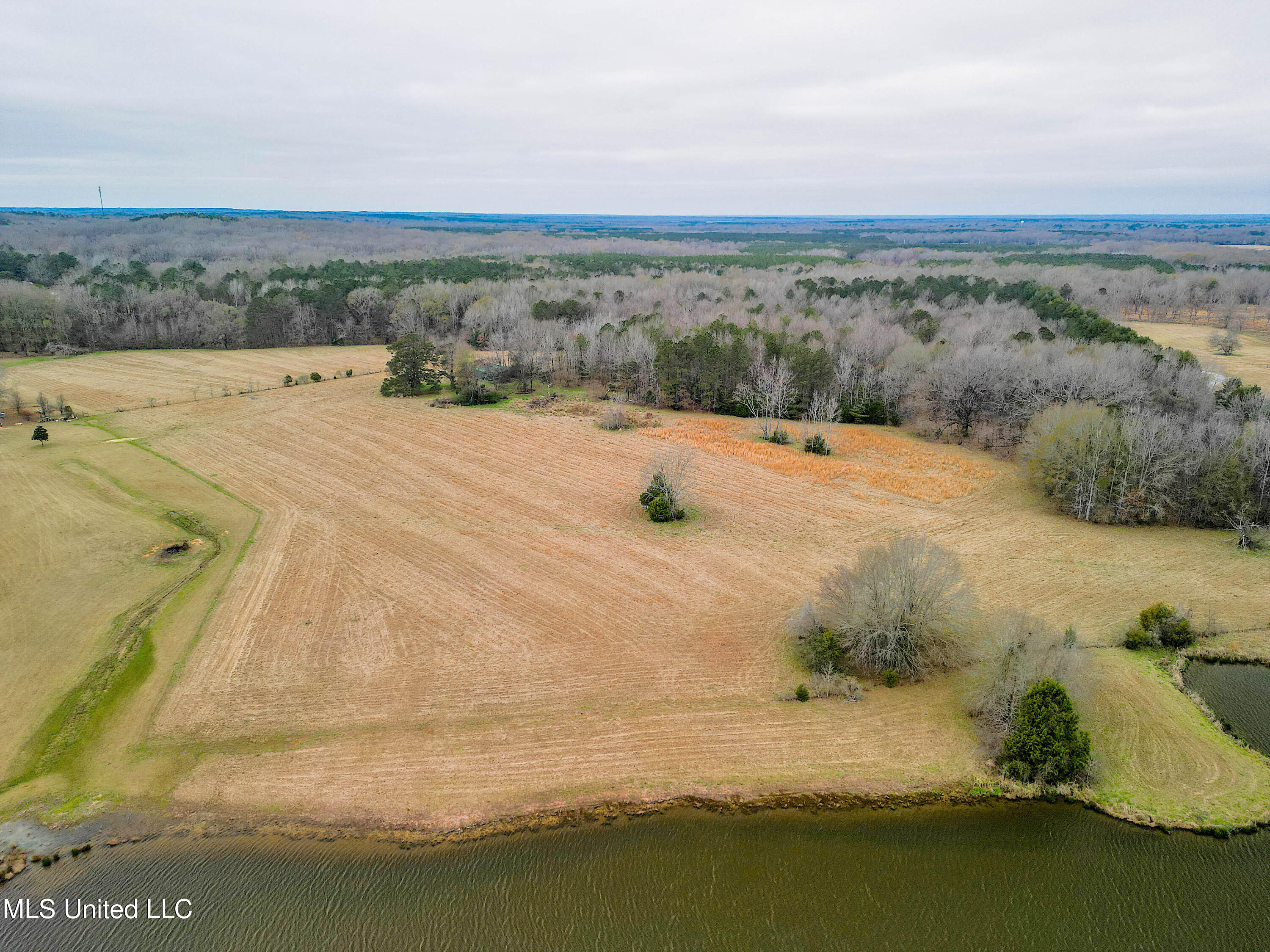 Tbd Highland Hills Lane Lane, Flora, Mississippi image 5