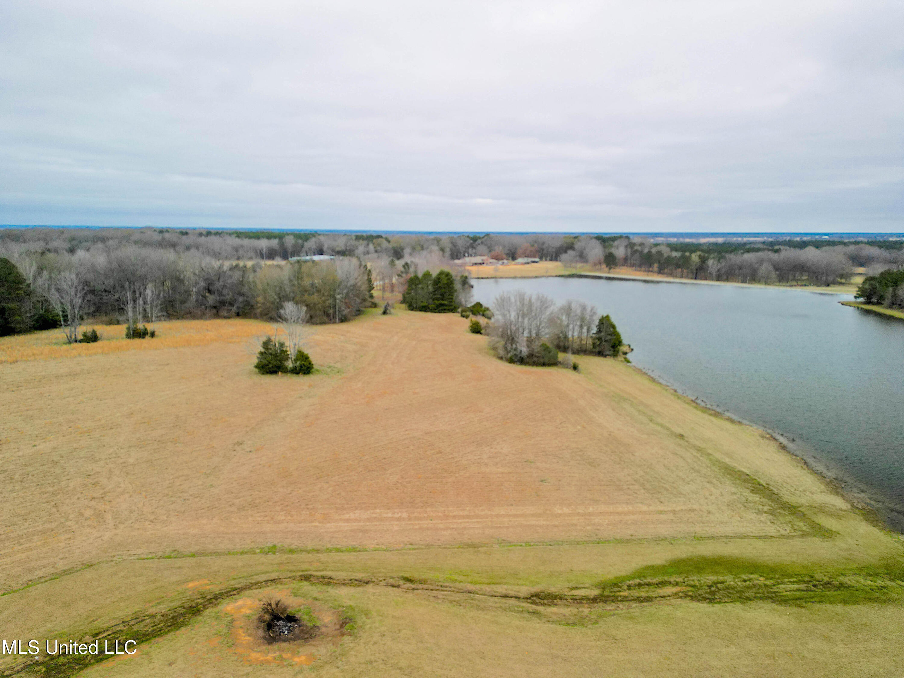 Tbd Highland Hills Lane Lane, Flora, Mississippi image 1