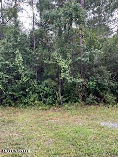 Pine, Lot 253 Street, Ocean Springs, Mississippi image 3