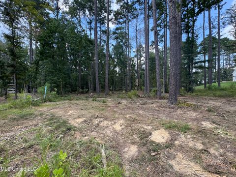 Vacant Land For Sale - 922 Brookhollow Court<br/> Flowood, MS 39232