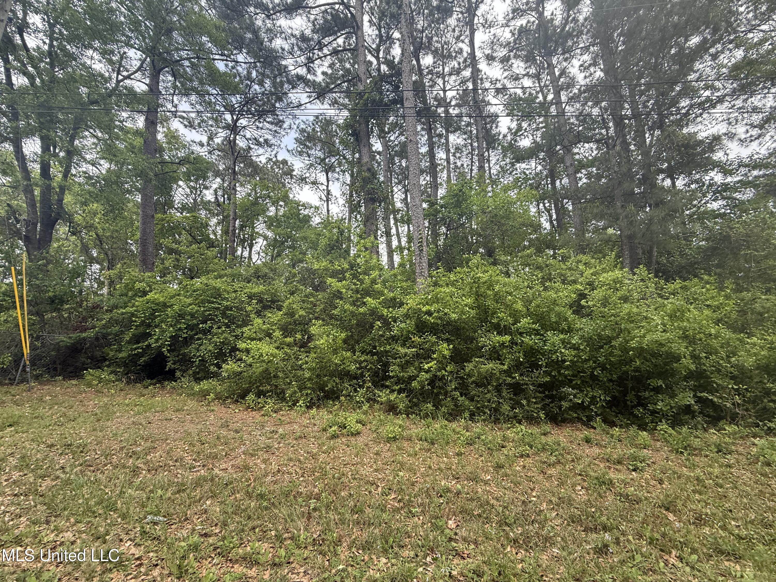 Marlin Cove, Gautier, Mississippi image 5