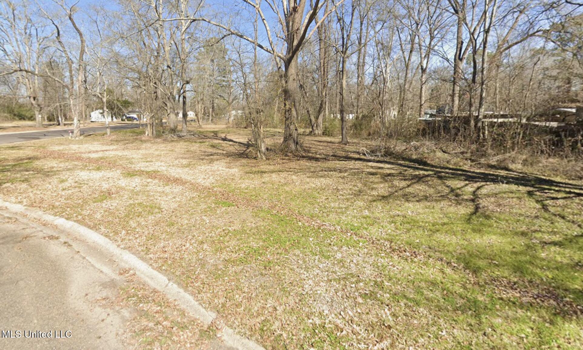 Wainwright Avenue, Jackson, Mississippi image 1